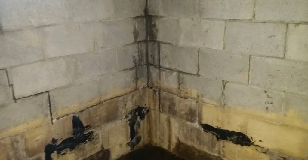 Screenshot 20250322 073222 Photos